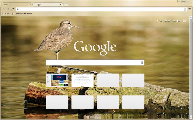 common sandpiper  from Chrome web store to be run with OffiDocs Chromium online