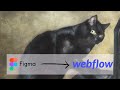 Copycat: Webflow Conversion (เบต้า) จาก Chrome เว็บสโตร์ที่จะรันด้วย OffiDocs Chromium ออนไลน์