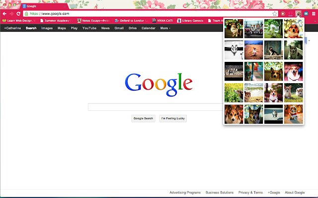 Corgis Everywhere  from Chrome web store to be run with OffiDocs Chromium online