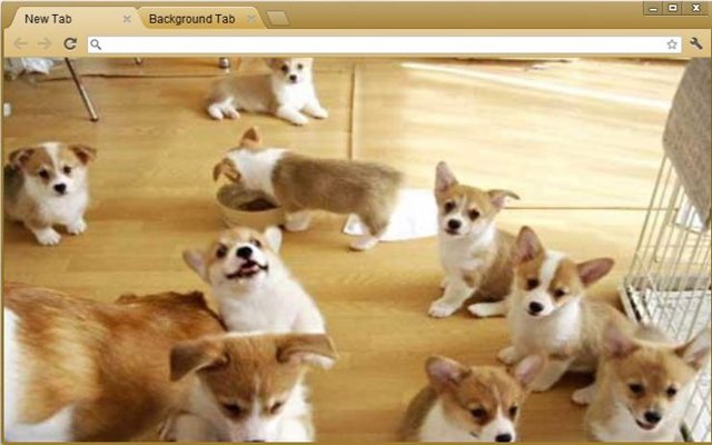 corgis family  from Chrome web store to be run with OffiDocs Chromium online