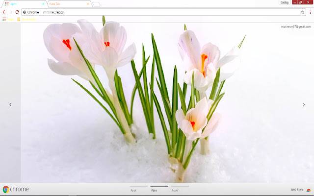 Crocus Flower Nature Snow Spring از فروشگاه وب کروم با OffiDocs Chromium به صورت آنلاین اجرا می شود