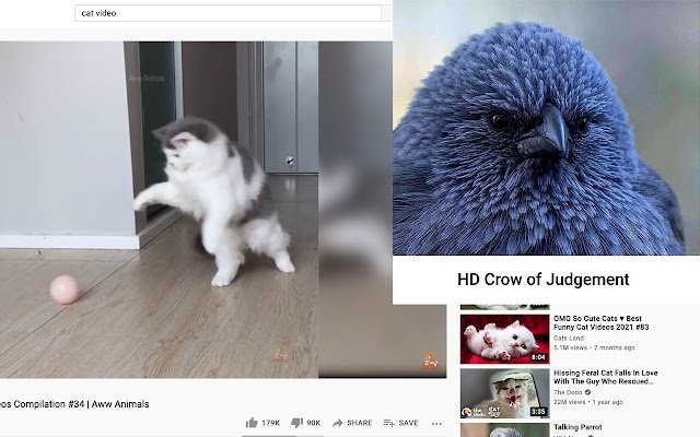 Crowwwww  from Chrome web store to be run with OffiDocs Chromium online