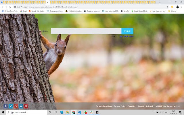 Cute Animals  from Chrome web store to be run with OffiDocs Chromium online