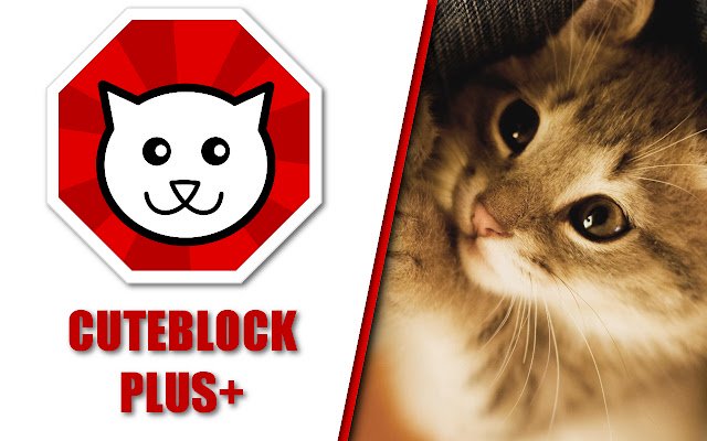 Cuteblock plus+ สำหรับ memehub.sk จาก Chrome เว็บสโตร์เพื่อใช้งานร่วมกับ OffiDocs Chromium ออนไลน์