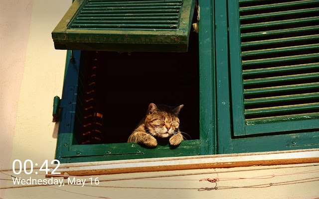 CutieCats תמונות כרטיסייה חדשה של חתלתולים מחנות האינטרנט של Chrome שיופעלו עם OffiDocs Chromium מקוון