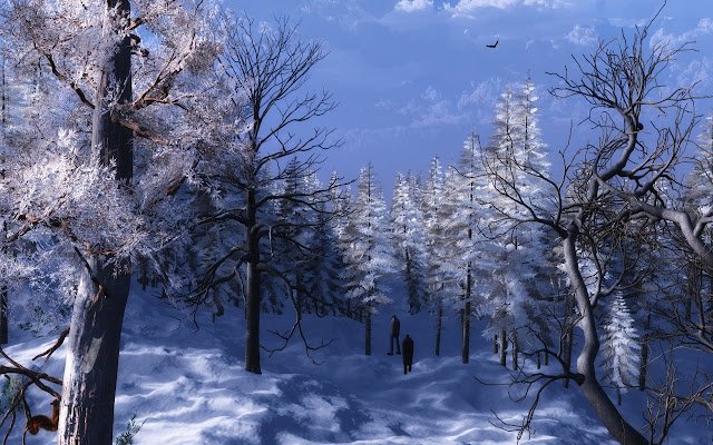 DAM3D Winter Walk  from Chrome web store to be run with OffiDocs Chromium online