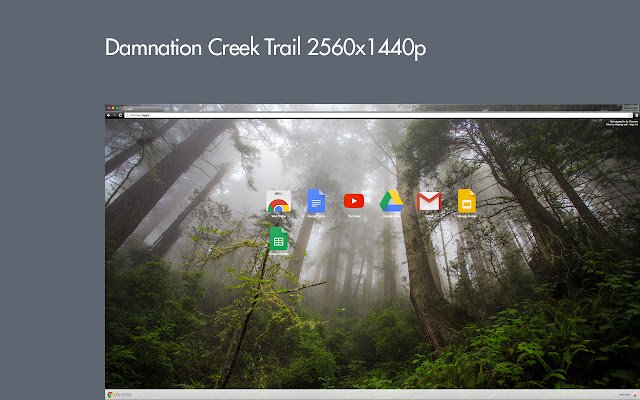 Damnation Creek Trail 2560x1440  from Chrome web store to be run with OffiDocs Chromium online