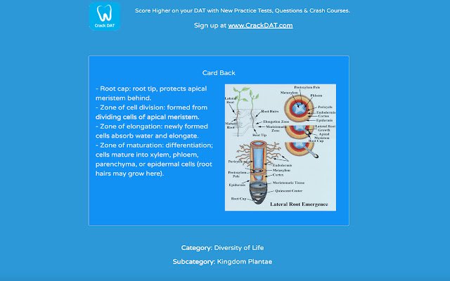 Dental Admission Test Crack DAT (Biology)  from Chrome web store to be run with OffiDocs Chromium online