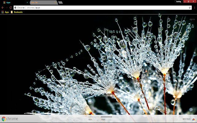 Dew Earth Flower Photography  from Chrome web store to be run with OffiDocs Chromium online