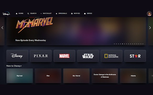 Disney+ Spoiler Duster از فروشگاه وب Chrome با OffiDocs Chromium به صورت آنلاین اجرا می شود