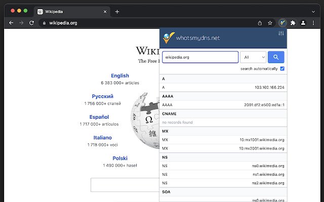 DNS Lookup  from Chrome web store to be run with OffiDocs Chromium online