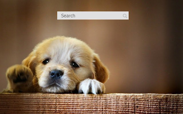 Dogs Background  from Chrome web store to be run with OffiDocs Chromium online