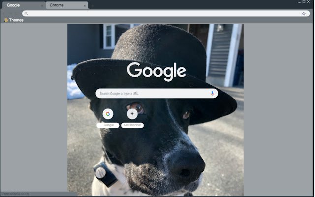 Dog with a Fedora  from Chrome web store to be run with OffiDocs Chromium online