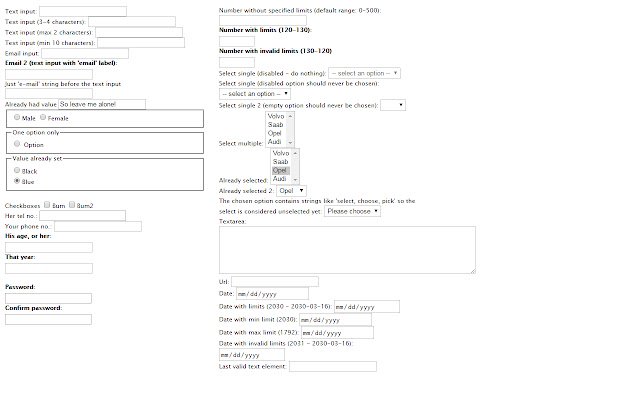 Dummy Form Filler  from Chrome web store to be run with OffiDocs Chromium online