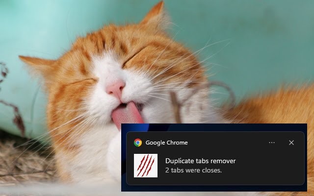 Duplicate tabs closer  from Chrome web store to be run with OffiDocs Chromium online