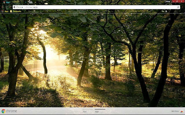 Earth Forest  from Chrome web store to be run with OffiDocs Chromium online