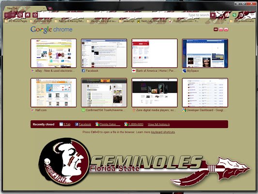 Florida State Seminoles Small din magazinul web Chrome va fi rulat cu OffiDocs Chromium online