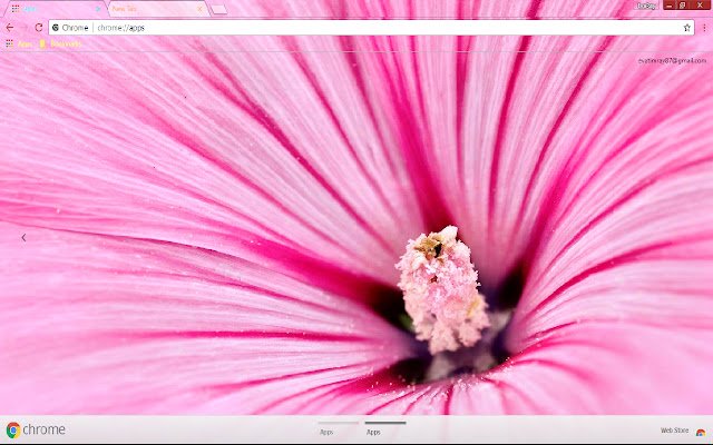 Flower Hibiscus Nature  from Chrome web store to be run with OffiDocs Chromium online