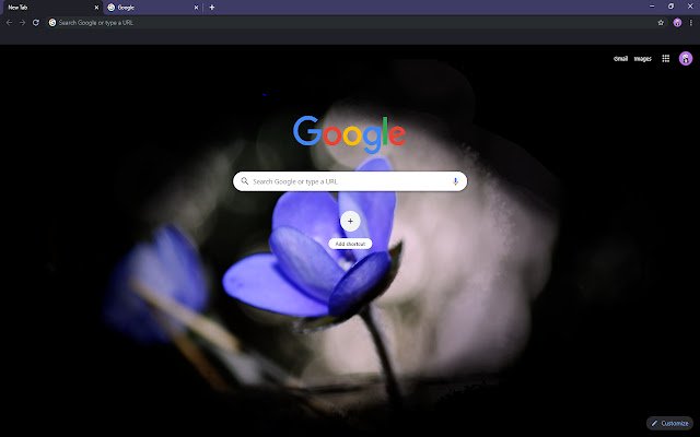 Chrome ウェブストアの Flower in the Dark が OffiDocs Chromium オンラインで実行可能に