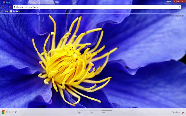 Flower Lilac Nature Pastel Purple Yellow  from Chrome web store to be run with OffiDocs Chromium online