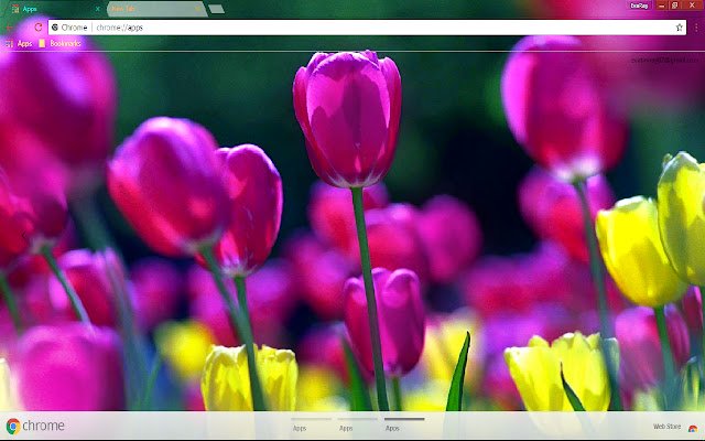 Flower Purple Flower Spring  from Chrome web store to be run with OffiDocs Chromium online