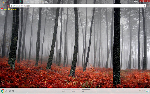 Fog Forest Nature Tree  from Chrome web store to be run with OffiDocs Chromium online