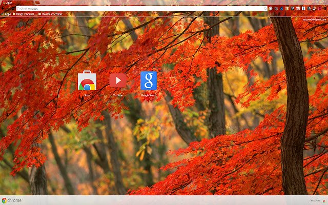 Forest At Fall for 1366 X 768 resolution  from Chrome web store to be run with OffiDocs Chromium online