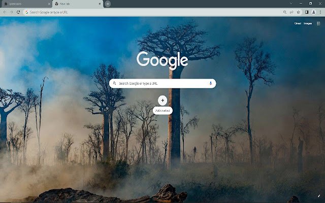 Forest Browser Theme  from Chrome web store to be run with OffiDocs Chromium online