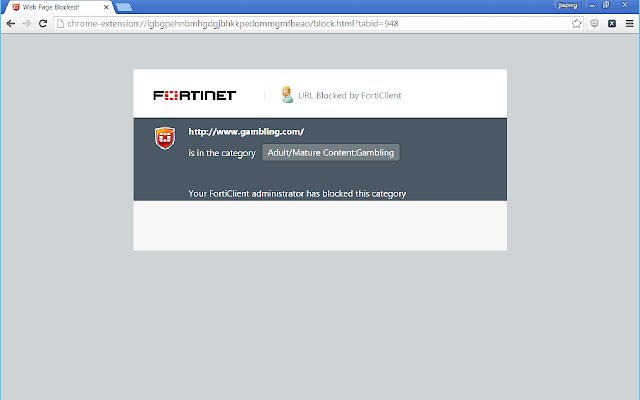 FortiClient Chromebook WebFilter Extension  from Chrome web store to be run with OffiDocs Chromium online