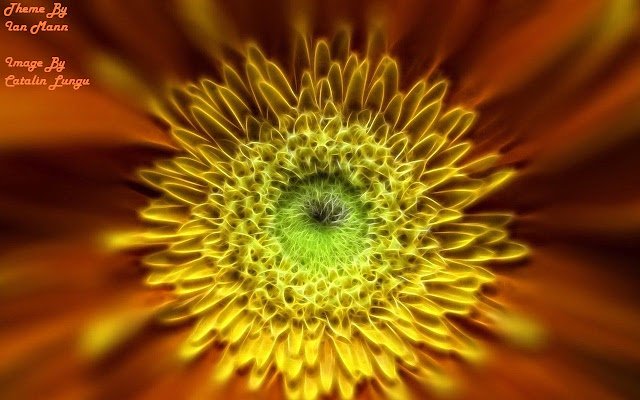 Fractal Flower  from Chrome web store to be run with OffiDocs Chromium online