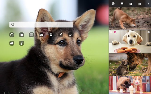 French Bulldog  from Chrome web store to be run with OffiDocs Chromium online