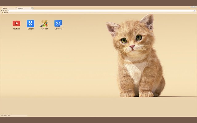 Gentle Kitten  from Chrome web store to be run with OffiDocs Chromium online