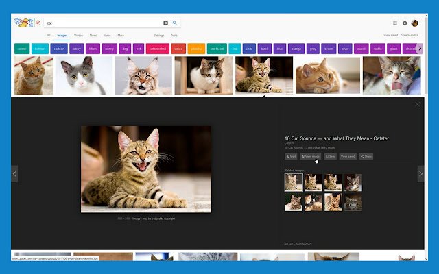 Google Images Search "View Image" Button  from Chrome web store to be run with OffiDocs Chromium online