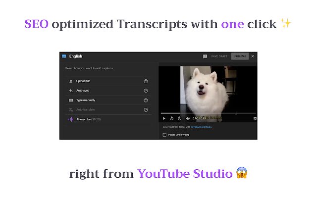 เพิ่ม YouTube ของคุณด้วย SEO | Tube Transcripts จาก Chrome เว็บสโตร์ที่จะใช้งานกับ OffiDocs Chromium ออนไลน์