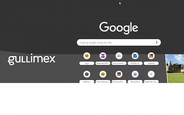 Gullimex  from Chrome web store to be run with OffiDocs Chromium online