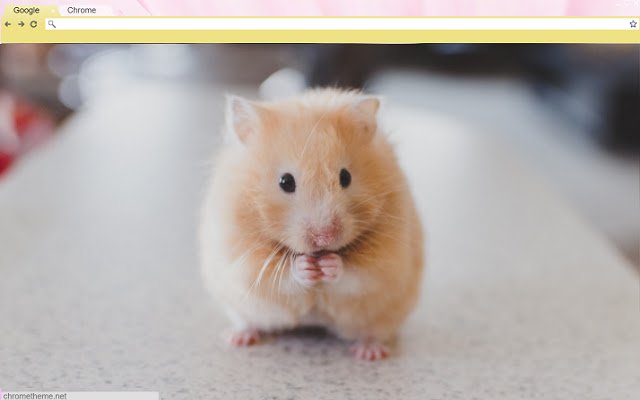 Happy Little Hamster  from Chrome web store to be run with OffiDocs Chromium online