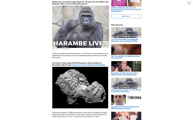 Harambe Lives  from Chrome web store to be run with OffiDocs Chromium online