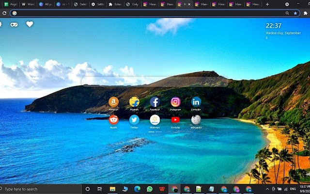 Hawaii Beach Wallpaper New Tab Theme[Install]  from Chrome web store to be run with OffiDocs Chromium online