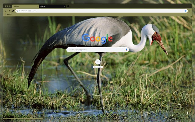 Heron dari kedai web Chrome untuk dijalankan dengan OffiDocs Chromium dalam talian