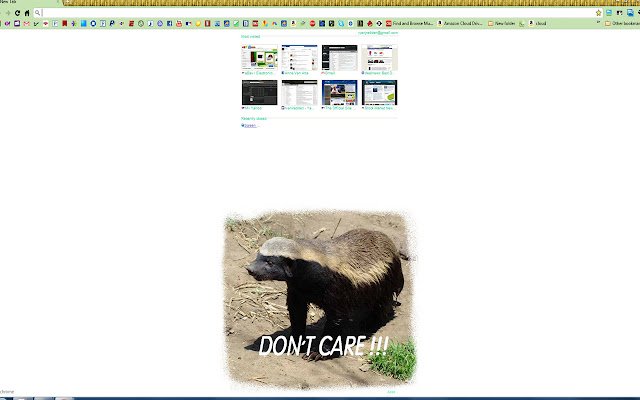 Honey Badger Dont Care de la tienda web de Chrome se ejecutará con OffiDocs Chromium en línea