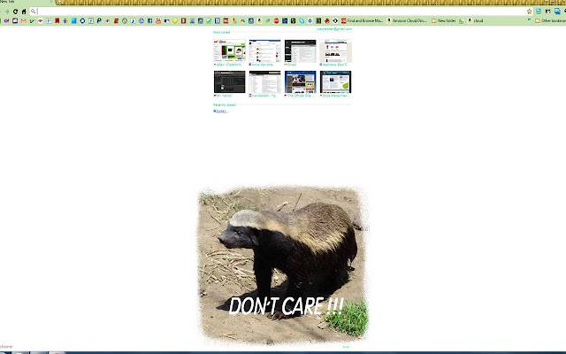 Honey Badger Dont Care จาก Chrome เว็บสโตร์ที่จะทำงานกับ OffiDocs Chromium ทางออนไลน์