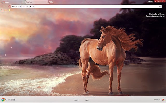 Horse Sea shore 1920*1080  from Chrome web store to be run with OffiDocs Chromium online