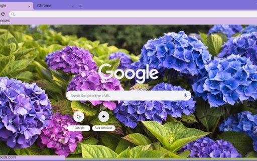 Hydrangea from Chrome web store to be run with OffiDocs Chromium online Hydrangea from Chrome web store to be run with OffiDocs Chromium online