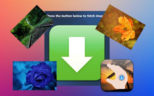 Image Fetcher  from Chrome web store to be run with OffiDocs Chromium online