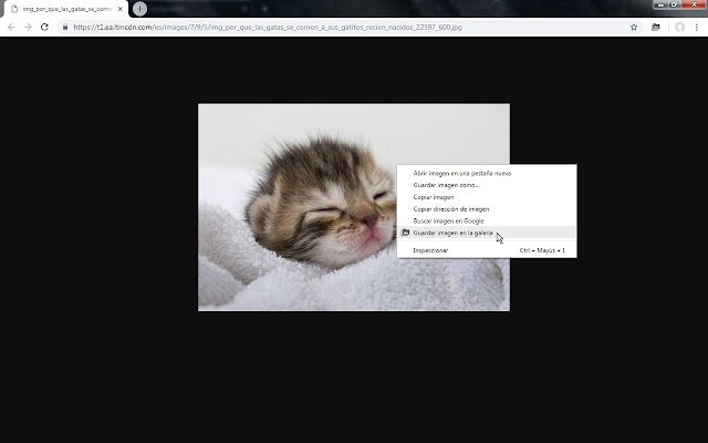 Image gallery  from Chrome web store to be run with OffiDocs Chromium online