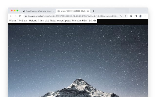 Pestaña de información de imagen de la tienda web de Chrome que se ejecutará con OffiDocs Chromium en línea