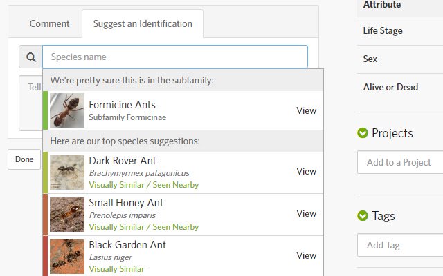 iNaturalist Enhancement Suite aus dem Chrome Web Store zur Ausführung mit OffiDocs Chromium online