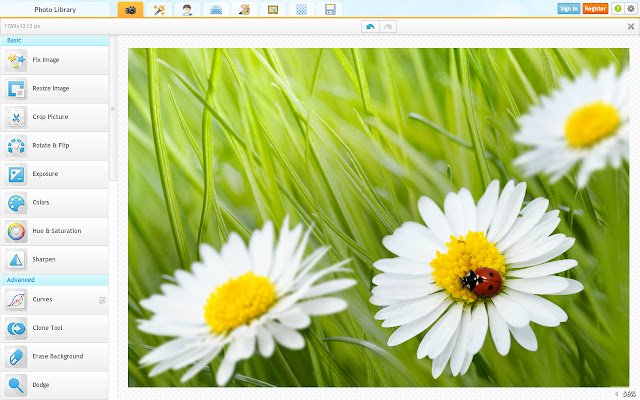 iPiccy Photo Editor  from Chrome web store to be run with OffiDocs Chromium online