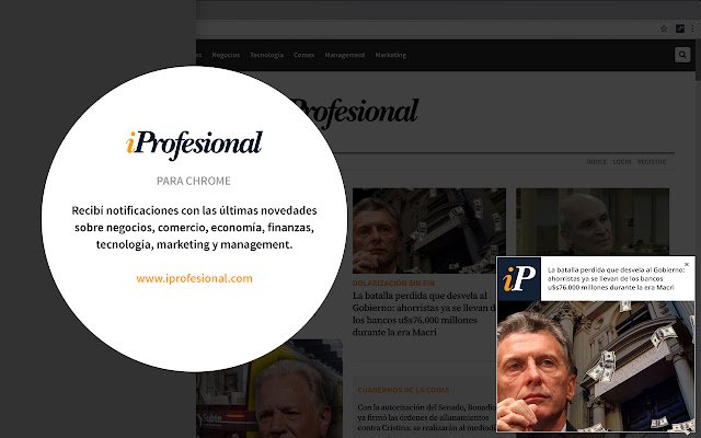 iProfesional.com  from Chrome web store to be run with OffiDocs Chromium online