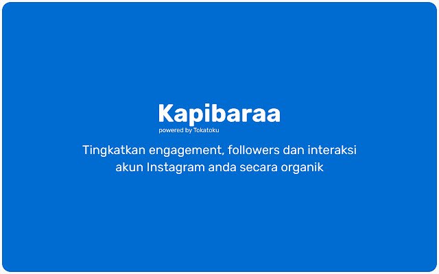 Kapibaraa Extension, powered by Tokatoku  from Chrome web store to be run with OffiDocs Chromium online